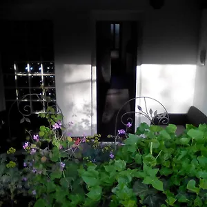 Poropat Apartment Poreč